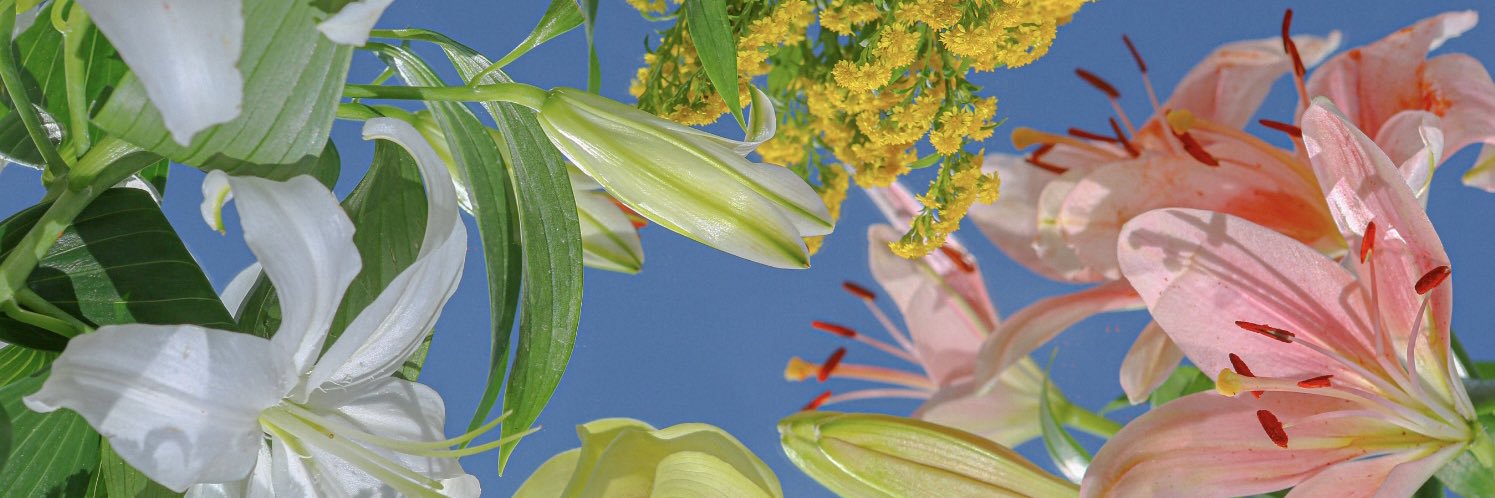 badhabidsff's profile banner image