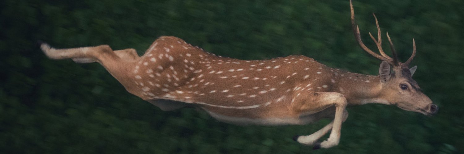 Jakeee_Smith's profile banner image