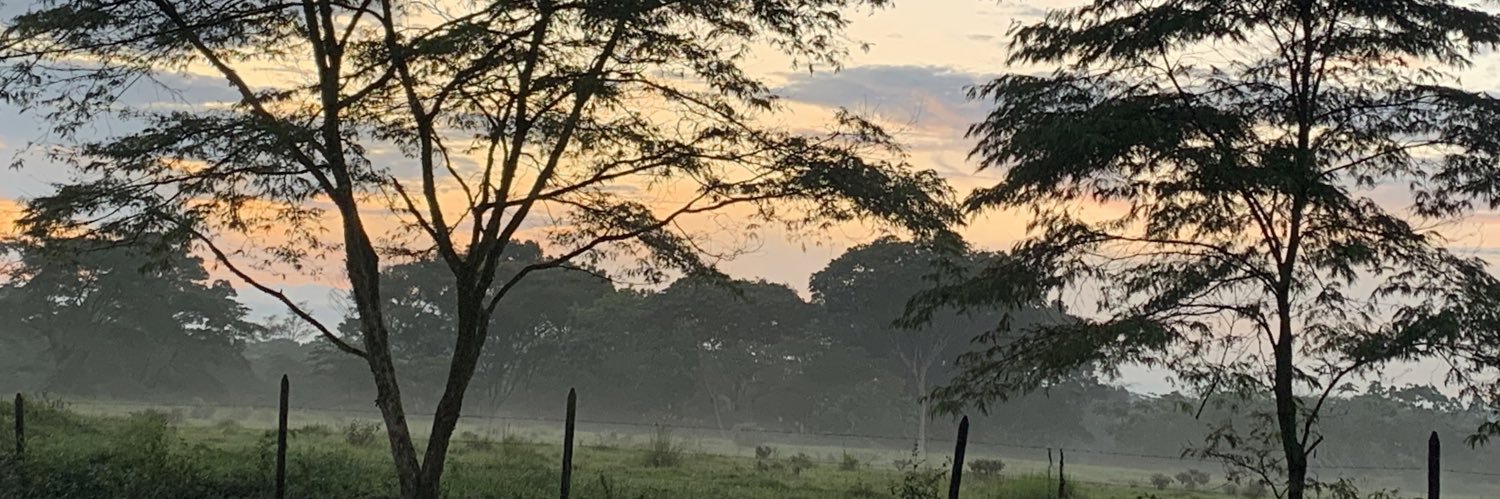 Oscar Olivero Zarza banner