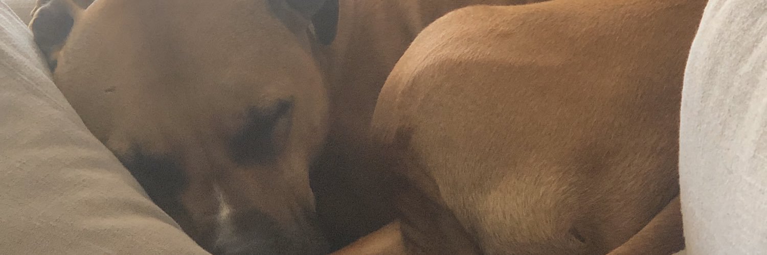 brettplotzker's profile banner image