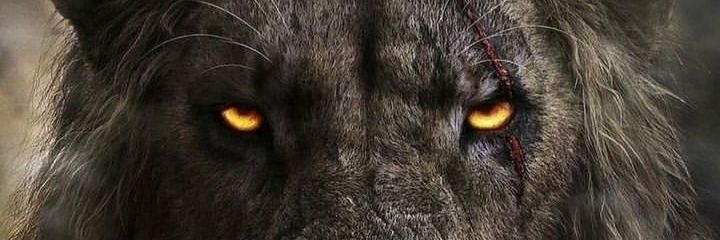 jhon1585's profile banner image