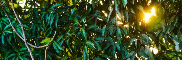 davidaustingrey Profile Banner