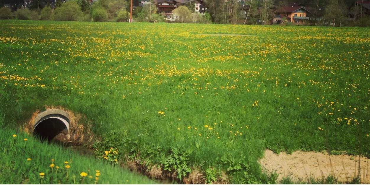 Daniel Sundaram banner