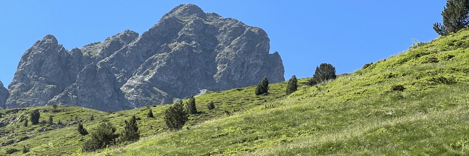 leandronarros's profile banner image