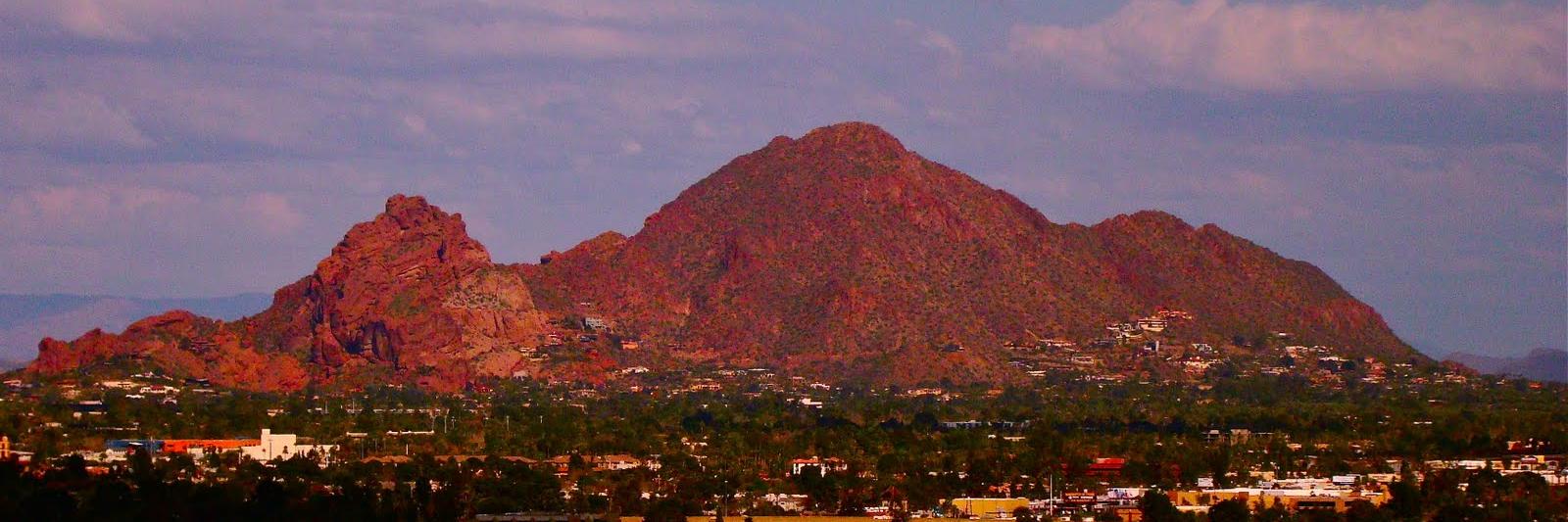 Pauline Arrillaga banner