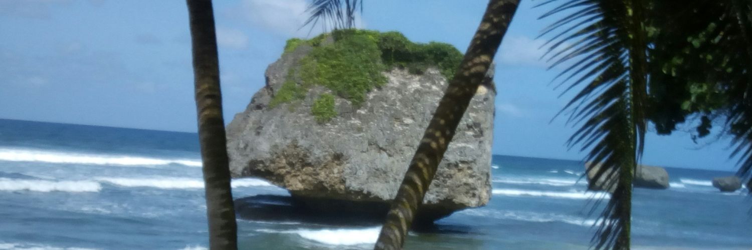 notabene111's profile banner image