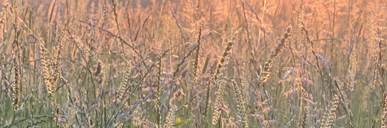 Tamas David-Barrett banner