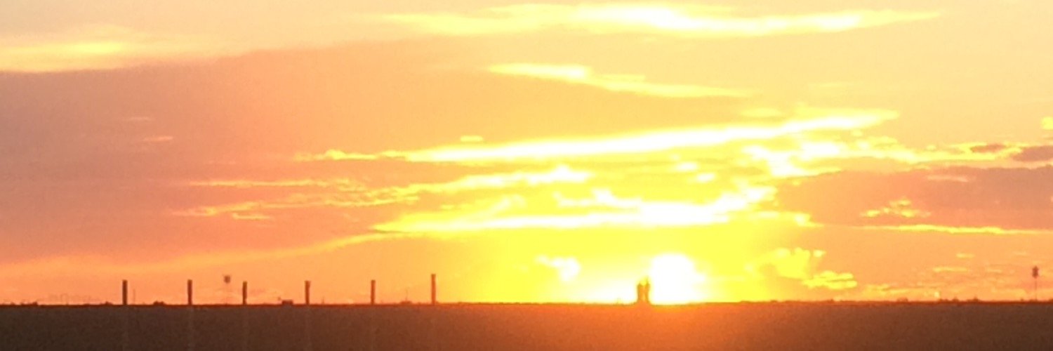 GregLavo's profile banner image
