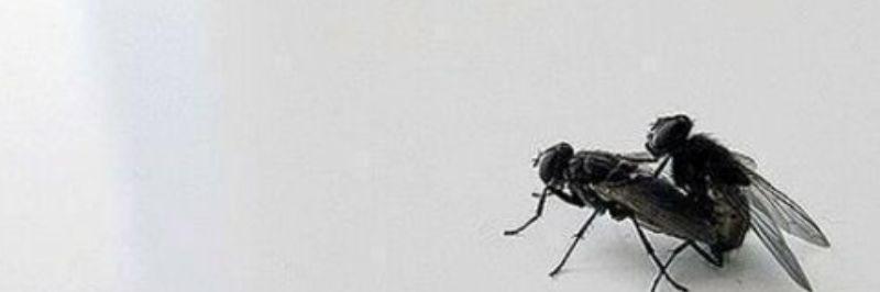 qxbxn's profile banner image