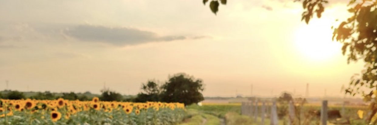 petemon6's profile banner image