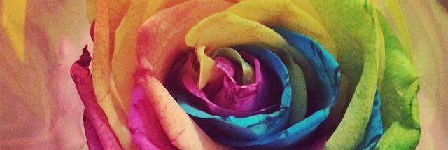 ToniJudgex's profile banner image