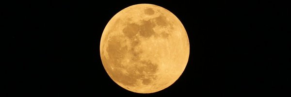 SharmaSunjeev Profile Banner