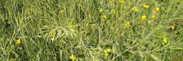 SudarshanTiwa12 Profile Banner