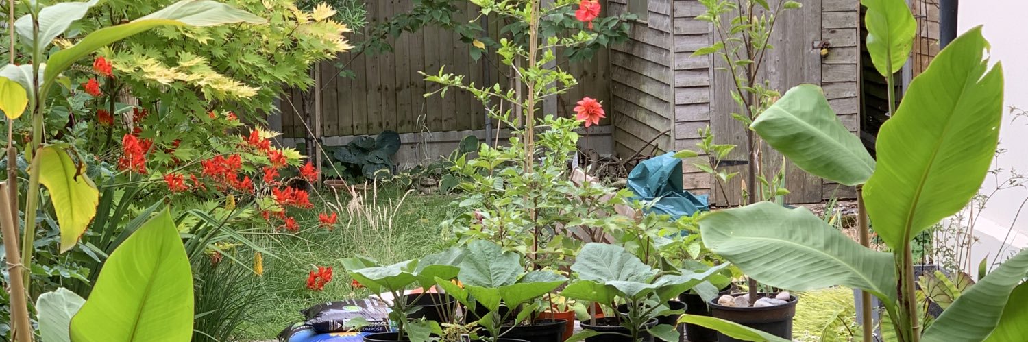 Faisal Butt 💚 banner