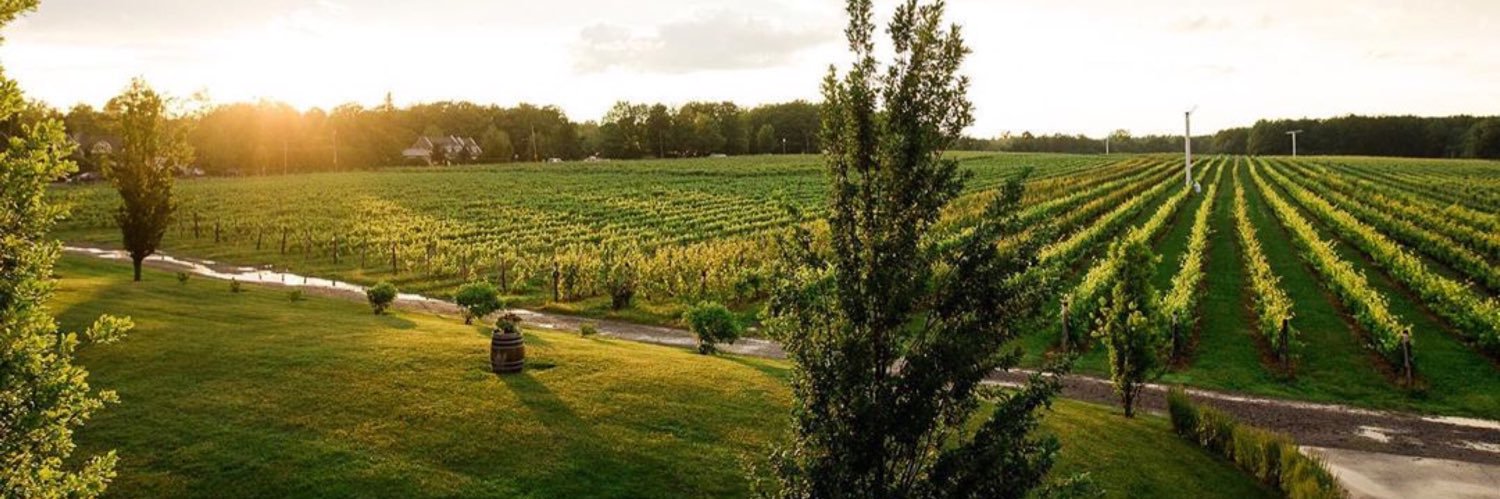 Vignoble Rivière du Chêne banner