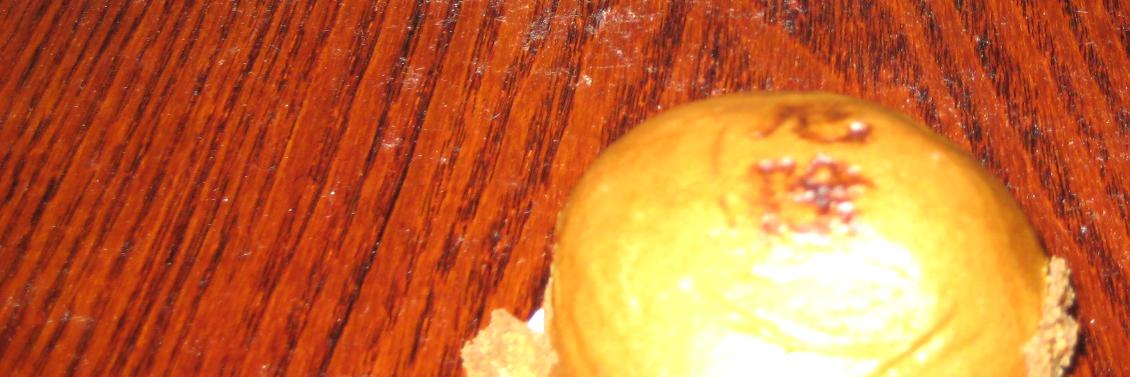 てきとう＠ banner