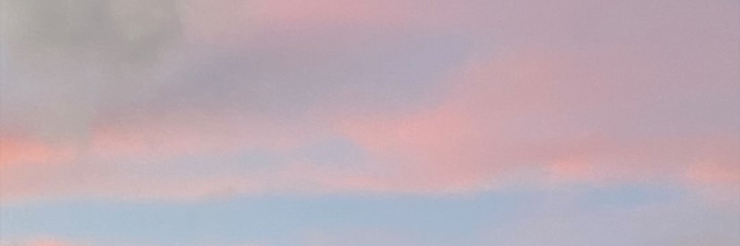 maria4sc's profile banner image