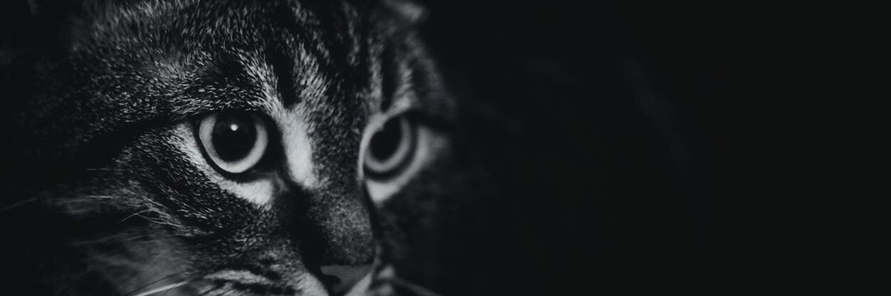 julendbl's profile banner image