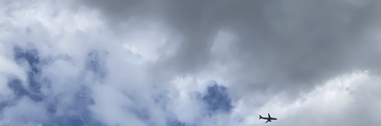 13viathan's profile banner image