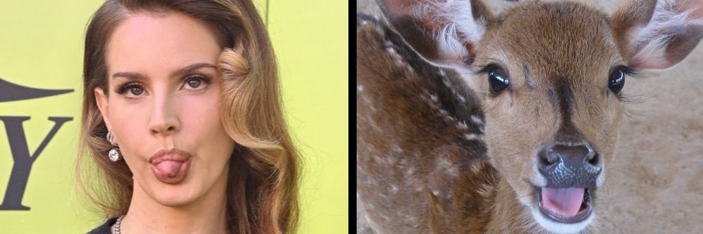cibercelia_'s profile banner image