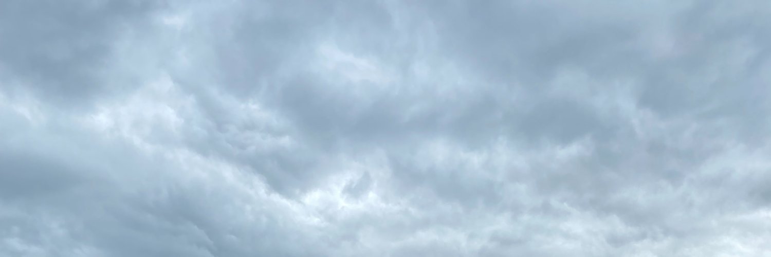 MsToriKennedy's profile banner image