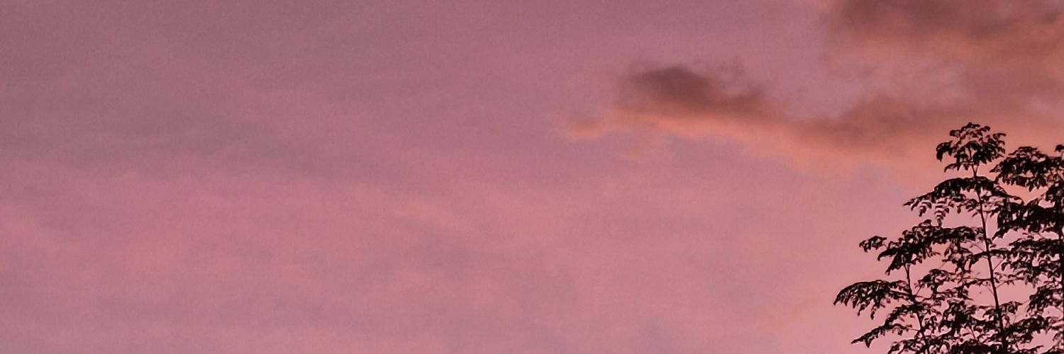 dollymunix's profile banner image