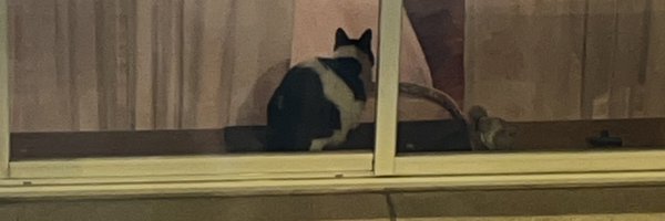 DaveTabu Profile Banner