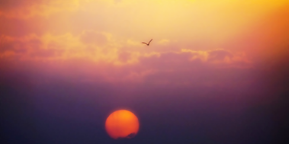 vaiisl's profile banner image