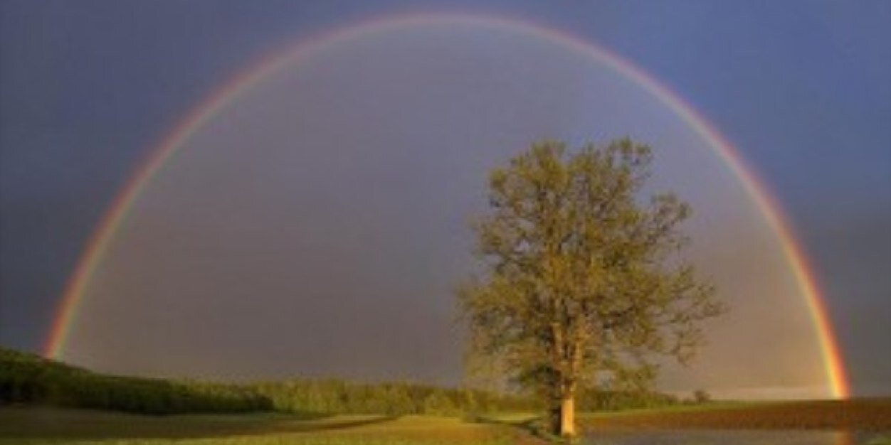 suy_chong's profile banner image