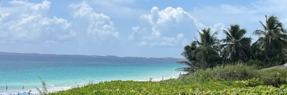 Taifalsaedi's profile banner image