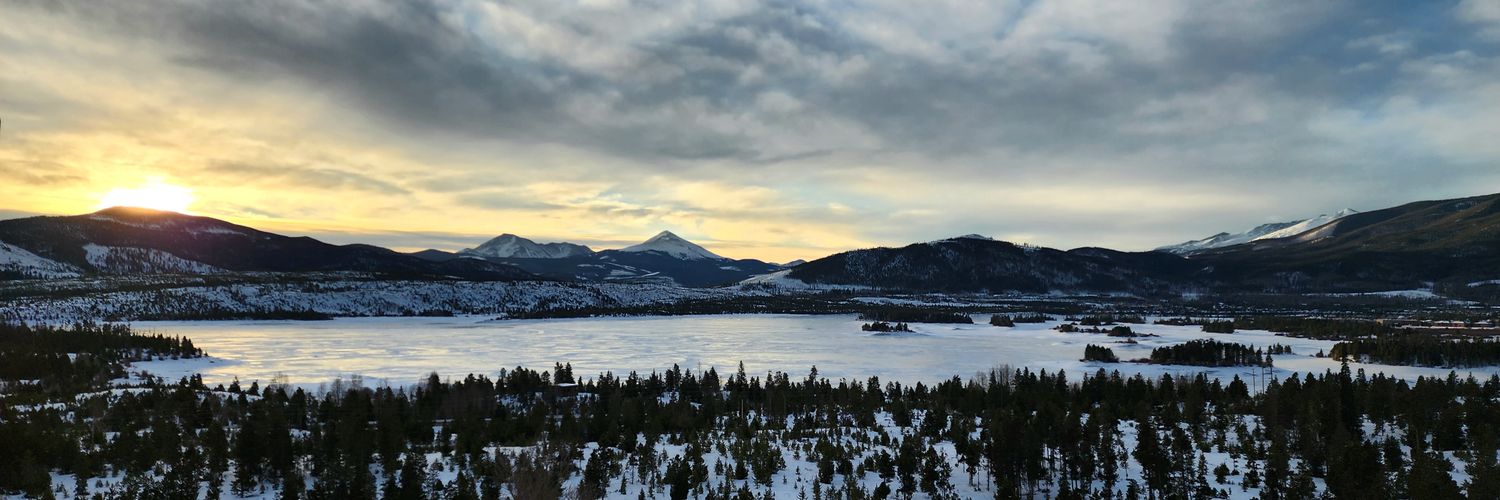 Naomi McMahon banner