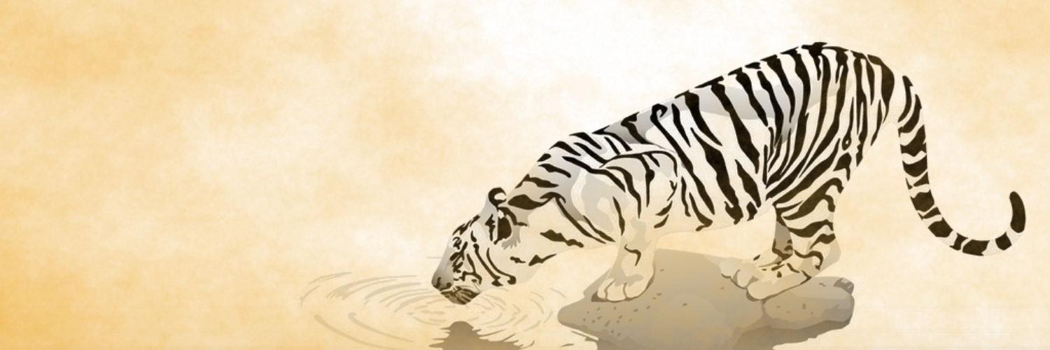 _Shere_Khan_'s profile banner image