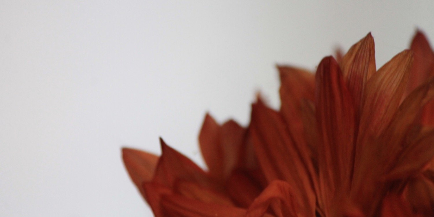 GabrielCropley's profile banner image