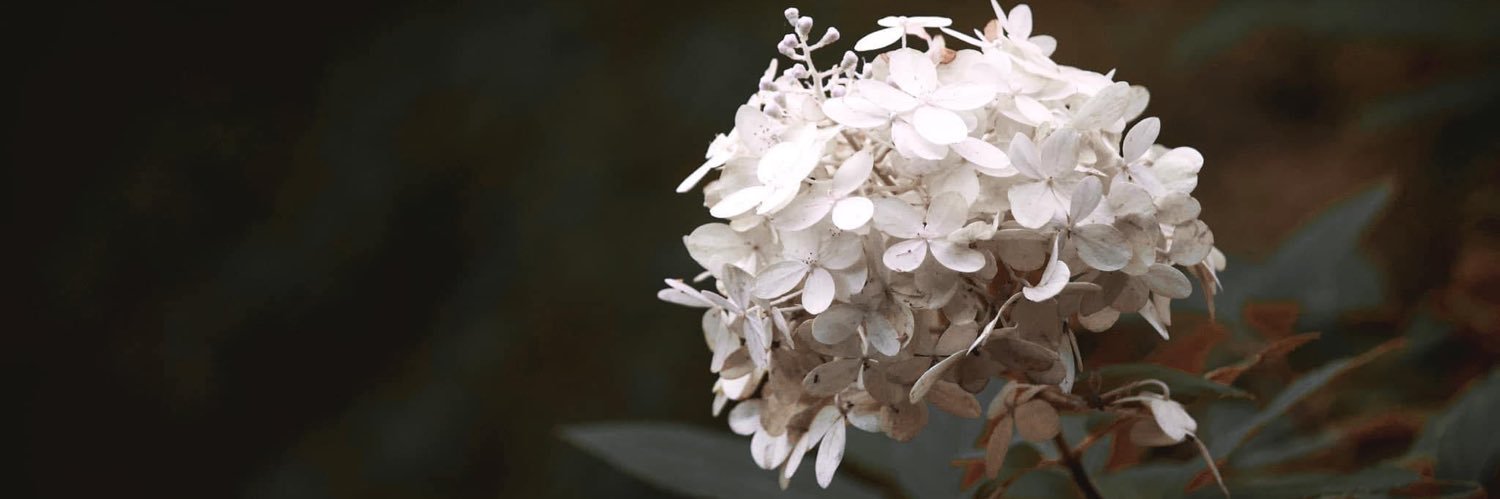 kewigg's profile banner image
