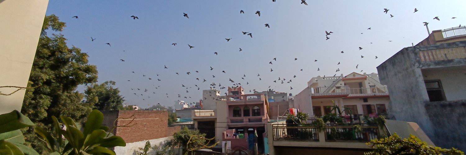ankitpaandit_'s profile banner image