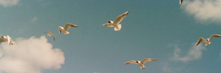 hdtpur's profile banner image
