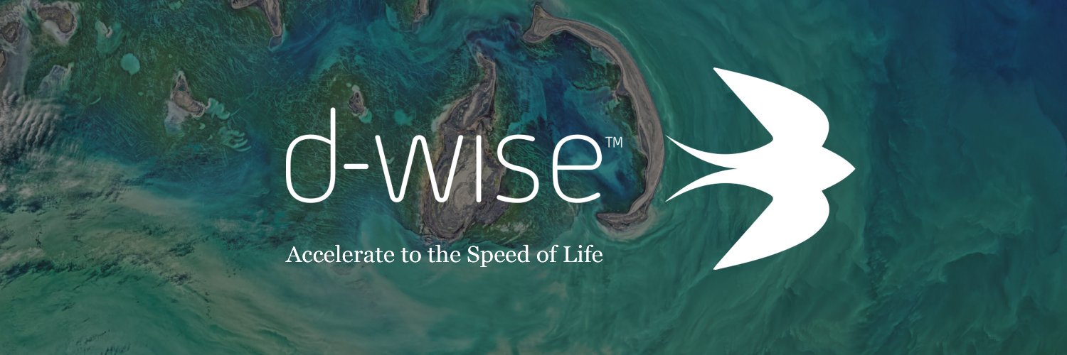d-Wise banner