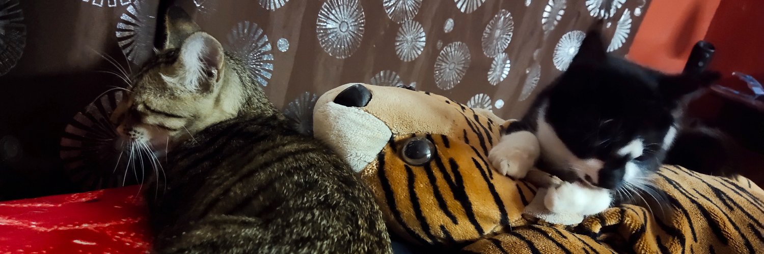 DLaghros's profile banner image