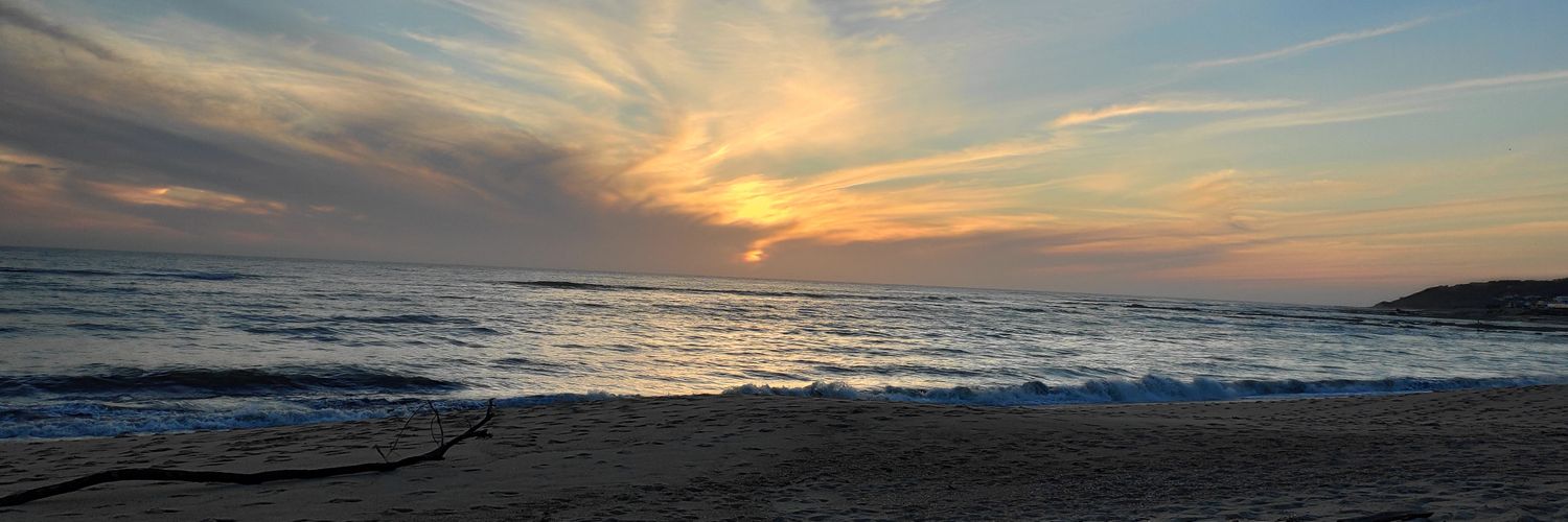 BeatrizCarvs's profile banner image