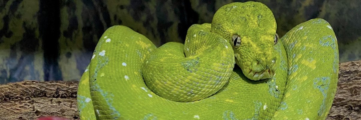 あにあに✩ banner