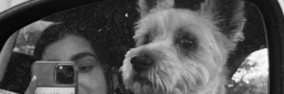 _ellawilson1's profile banner image