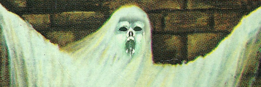 scaredydotcat's profile banner image