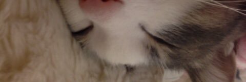 obisan0309's profile banner image