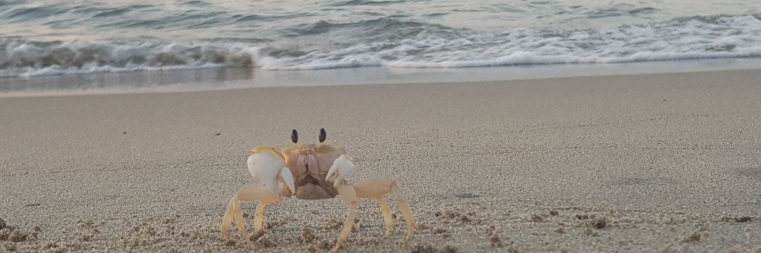 Alexjenkins24's profile banner image