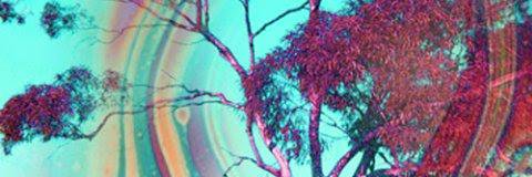 deinha_b's profile banner image