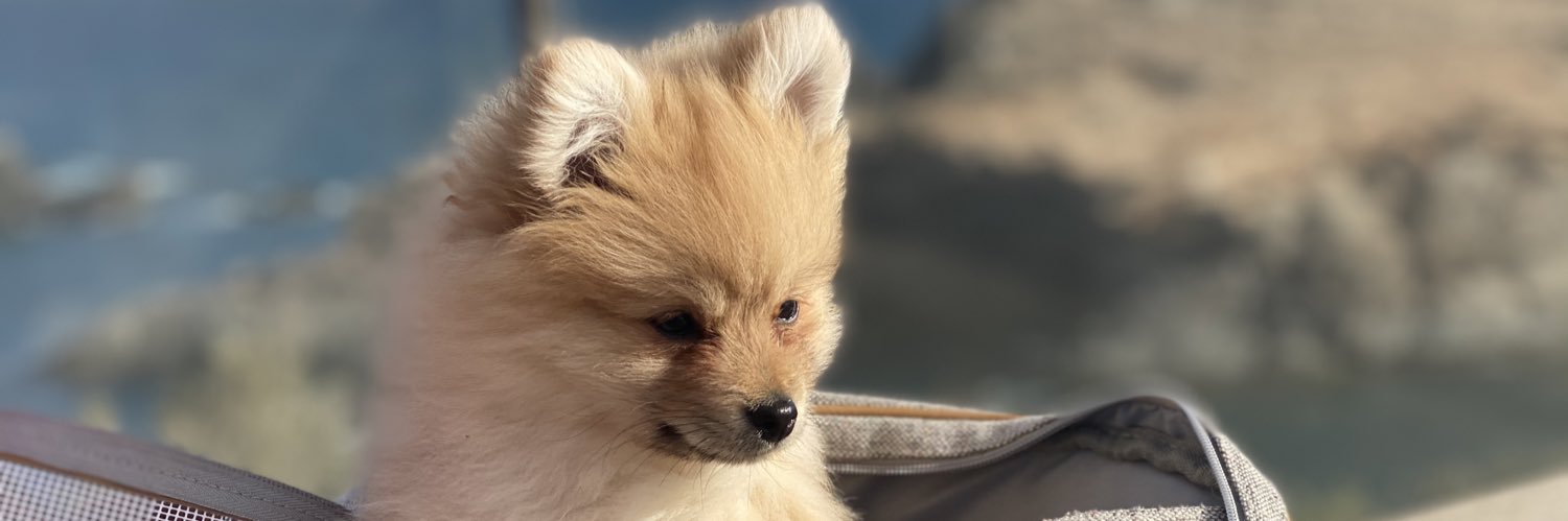 AlmudenaRus's profile banner image