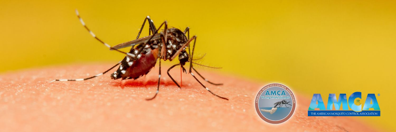 AMCA Young Pros 🦟 banner