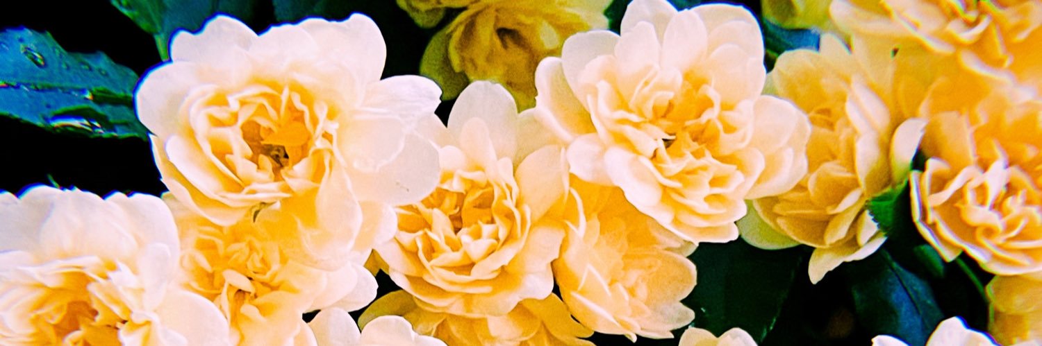 AY_998's profile banner image