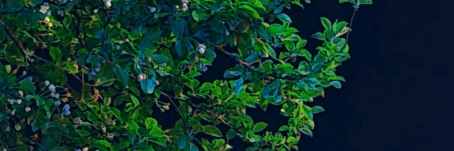 도바 banner