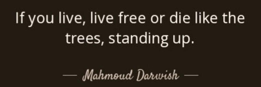 zakisarraf's profile banner image